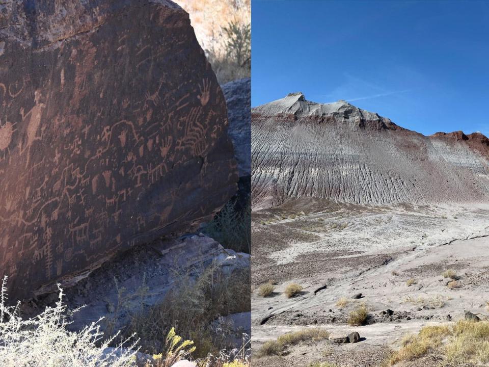 A photo of etchings on a rock, and a photo of petrified logs in Arizona.