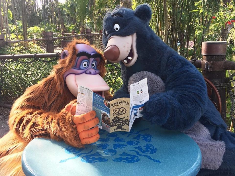 two bear characters at disney world pretending to read a map at a table at the theme parks