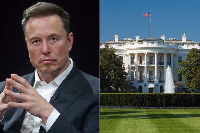 <p>Chesnot/Getty; Getty</p> Elon Musk; White House