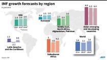 IMF growth forecasts