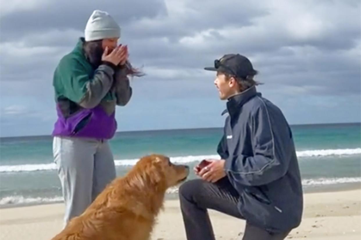man proposing to his girlfriend with their dog