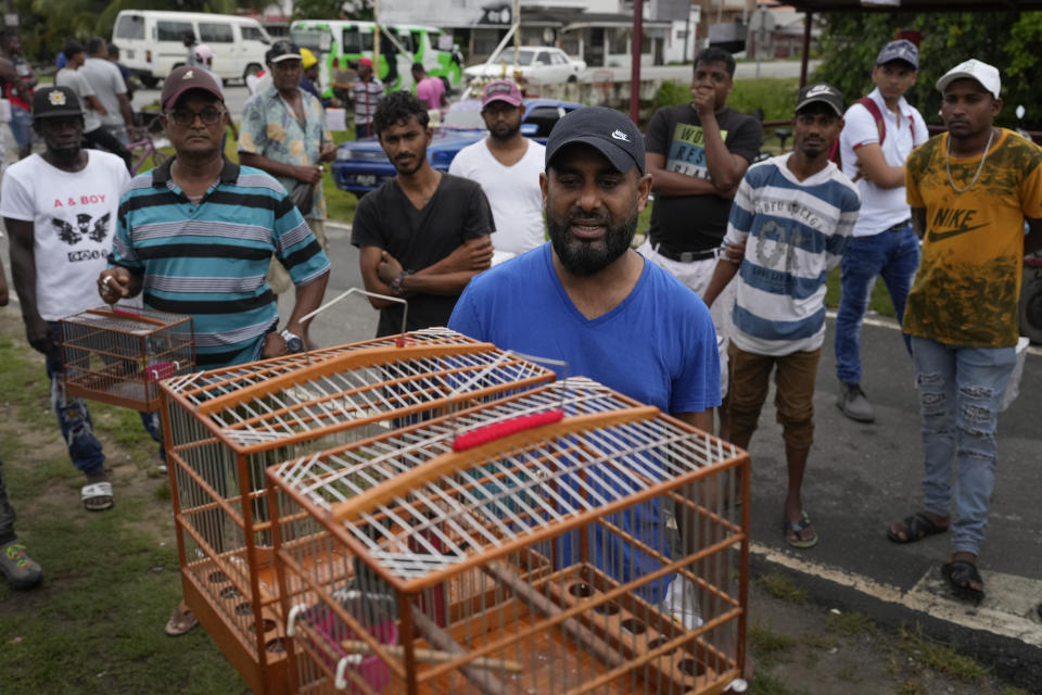 Ryan Boodhoo counts tweets of his bird during an exhibition in Meten Meet Zorg, Guyana, Sunday, April 23, 2023. Guyana's speed-singing contests are a centuries-old tradition where male finches are placed in cages next to each other as judges count the number of chirps they emit in the span of five minutes. (AP Photo/Matias Delacroix)