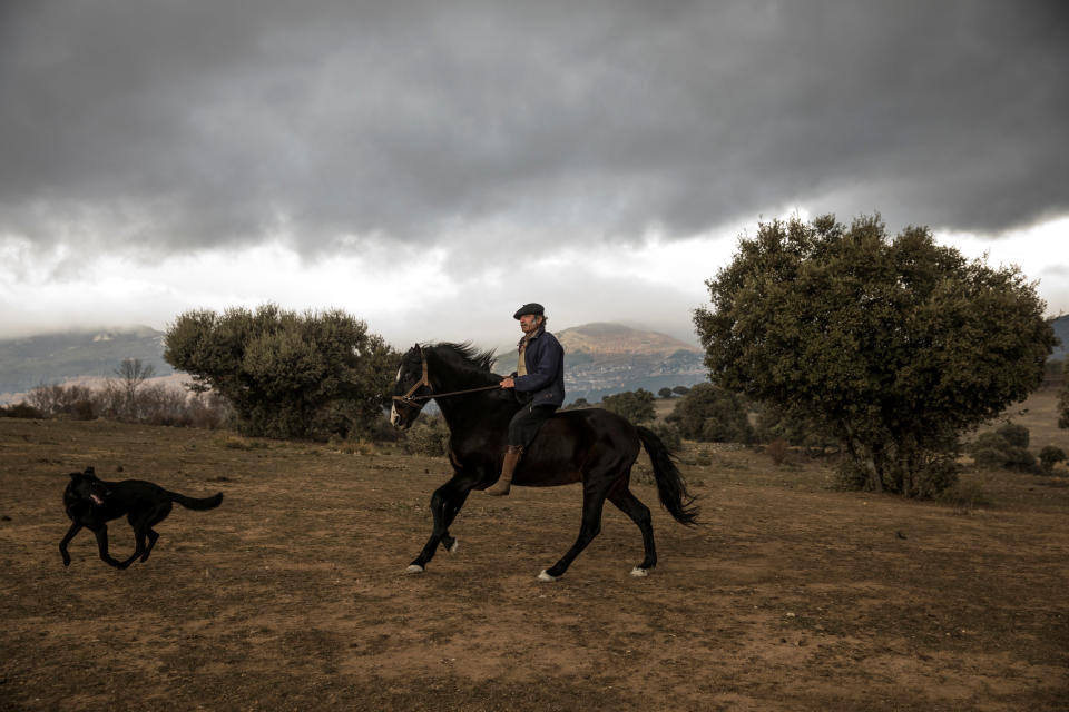 El hombre que susurra a los caballos… en España