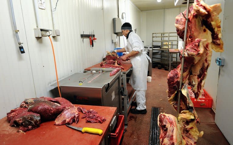 A horse butcher cuts pieces of horse meat at a butchery in Valenciennes, France, on February 22, 2013. Britain alerted Paris that six tainted carcasses had been exported to France in January, but the meat had already been processed by the time the warning came, the spokesman said