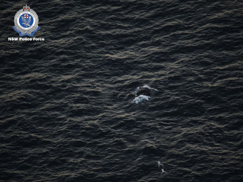 An aerial view of an entangled whale in this handout picture, off the coast of New South Wales, Australia