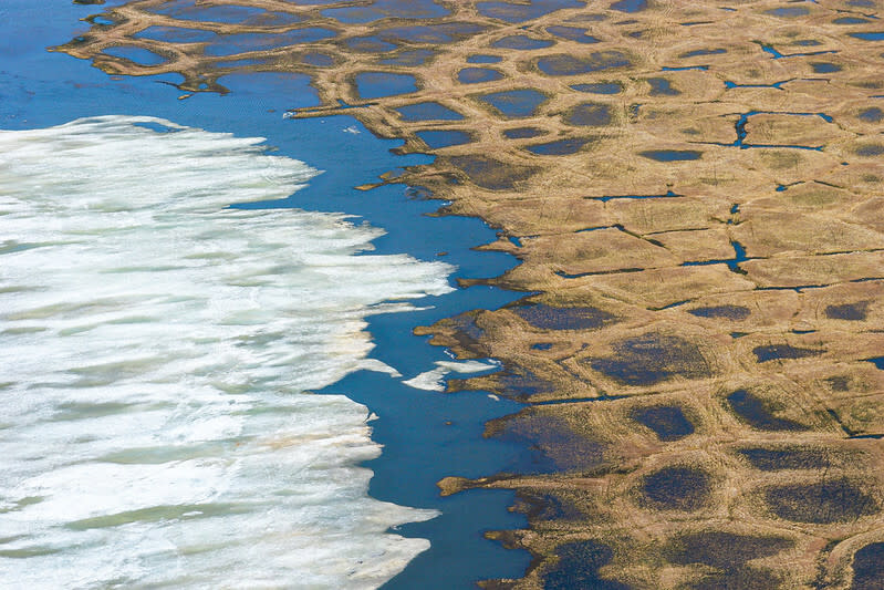 地球暖化造成融冰消失，古老的病原體也藉機重回新世界。(Photo by Bureau of Land Management Alaska on Flickr used under Creative Commons license)