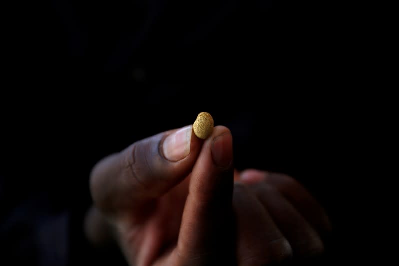 FILE PHOTO: An artisanal gold miner holds a gold nugget at an unlicensed mine in Gaoua, Burkina Faso