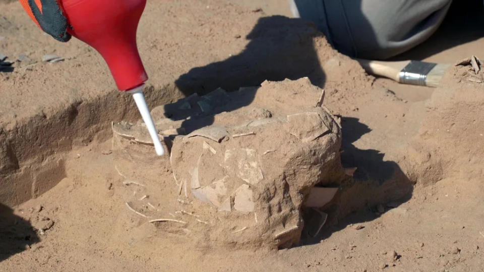 O montículo de casca de ovos de avestruz foi encontrado próximo a uma fogueira acesa por nômades há pelo menos 4.000 anos (Imagem: Emil Aladjem/Israel Antiquities Authority)