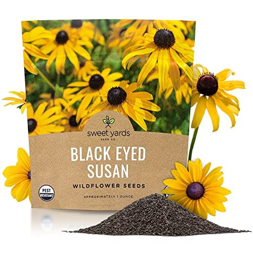 Sweet Yards Seed Co. Black Eyed Susan Seeds – Extra Large Packet – Over 100,000 Open Pollinated Non-GMO Wildflower Seeds – Rudbeckia hirta