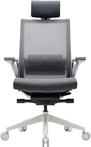 SIDIZ T80 Ergonomic Office Chair