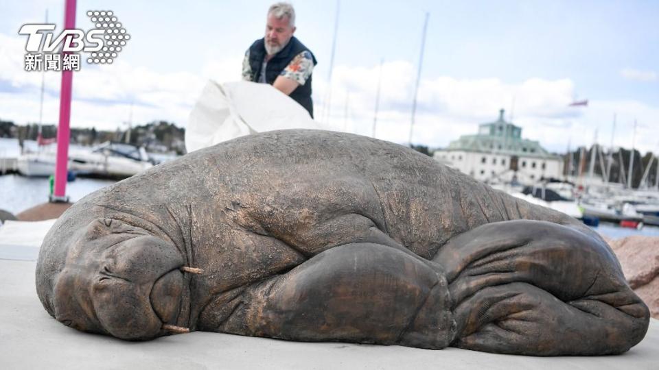 挪威「女神海象」芙蕾雅（Freya）的等身紀念銅像，29日在首都奧斯陸（Oslo）Kongen碼頭岩岸揭幕。（圖／達志影像美聯社）