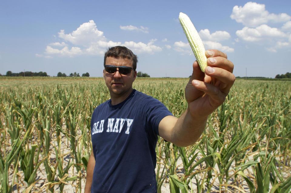 Steve Niedbalski shows his drought and heat stricken corn, Wednesday, July 11, 2012 in Nashville Ill. Farmers in parts of the Midwest are dealing with the worst drought in nearly 25 years.(AP Photo/Seth Perlman)