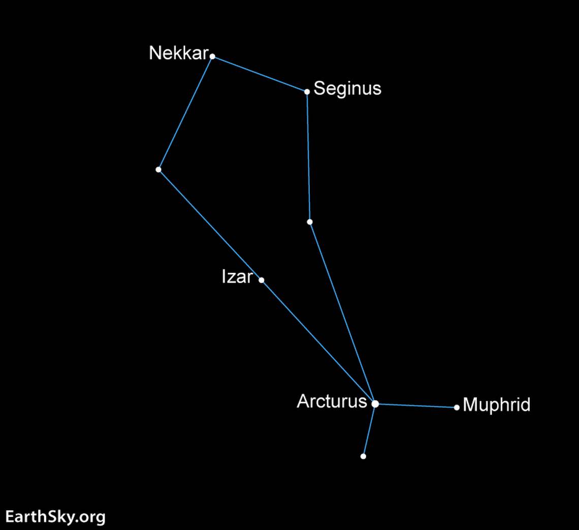 The constellation Boötes the Herdsman is an excellent target for June nights. Arcturus is the brightest star in the constellation.