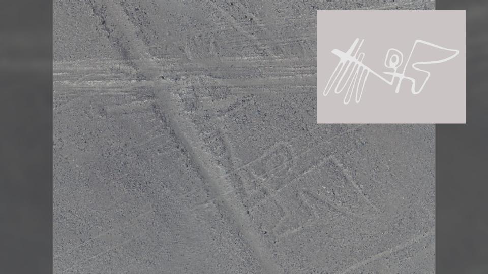 Combined drone image of Nazca geoglyphs and its corresponding line drawing. Here we see a bird, with its wings spread out wide.