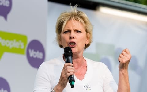 Anna Soubry - Credit: Wiktor Szymanowicz/Barcroft Media