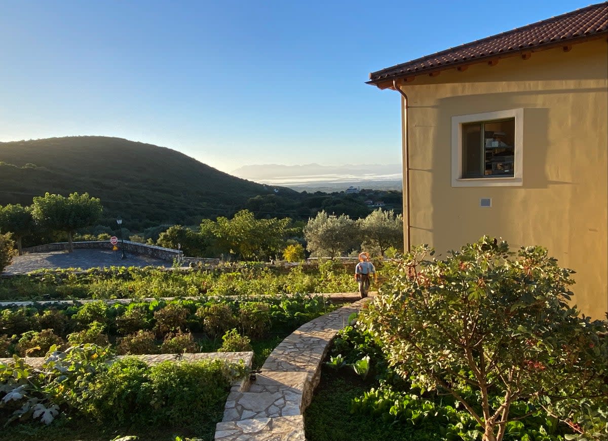 The vegetable garden at Arcadiani (Clare Hargreaves)