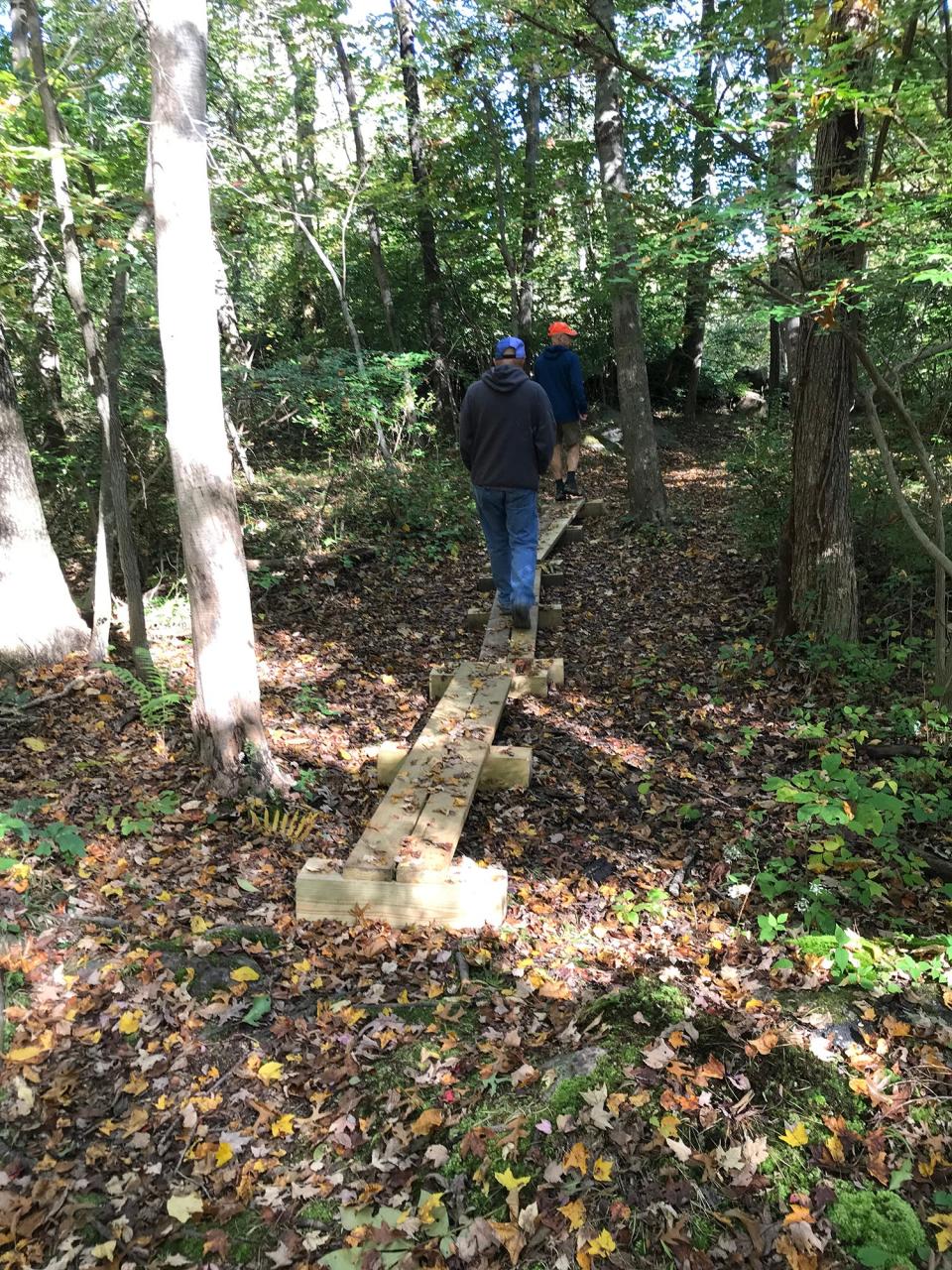 A wooden plank bog bridge built by an Eagle Scout crosses wetlands in the Whitely Preserve.