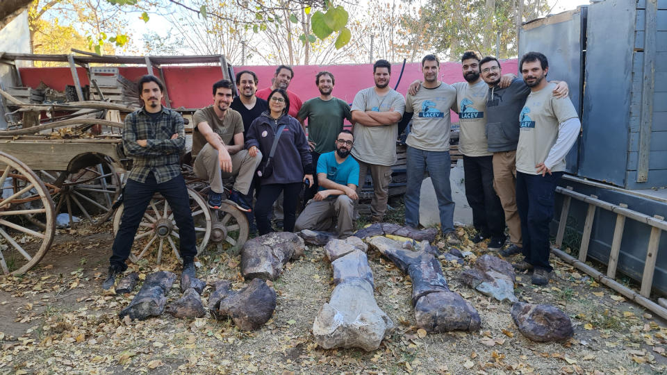 The research team stands next to the recovered fossils of the titanosaur Chucarosaurus diripienda.