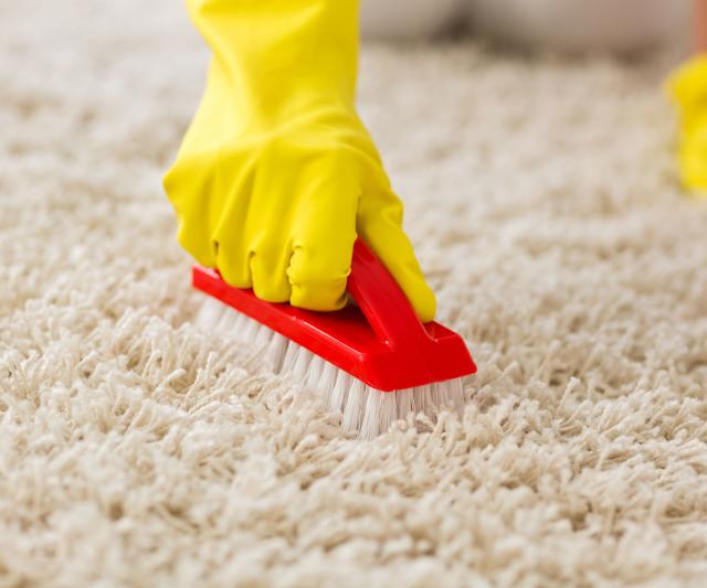 Does shaving foam clean carpets? Pro cleaners have their say on this ...