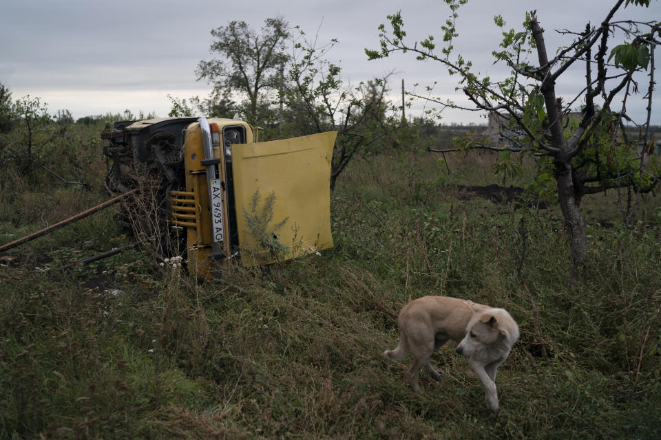 A dog walks past a car that was used by the Russian soldiers as a protection, according to Anatolii Klyzhen, in the freed village of Hrakove, Ukraine, Tuesday, Sept. 13, 2022. Russian troops occupied this small village southeast of Ukraine’s second largest city of Kharkiv for six months before suddenly abandoning it around Sept. 9 as Ukrainian forces advanced in a lightning-swift counteroffensive that swept southward. (AP Photo/Leo Correa)