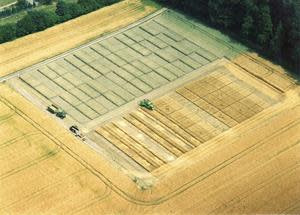 Field trials at Yara's research center in Dülmen, Germany