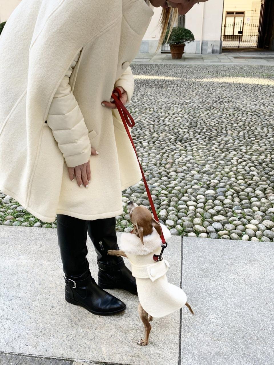 Giulia Cape & Dog Cape