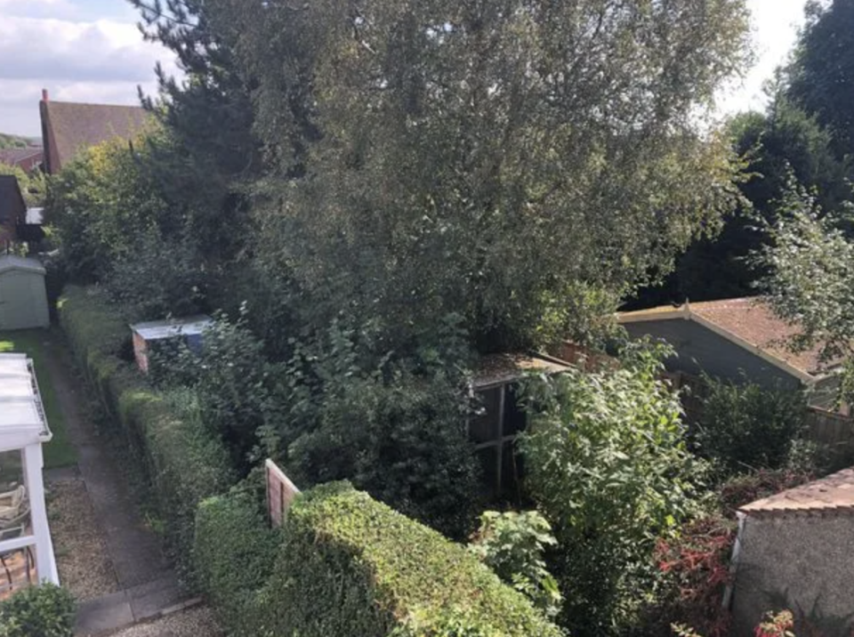 Fred Sweenie says the garden next door is so overgrown it's making his life a misery. Source: Reach
