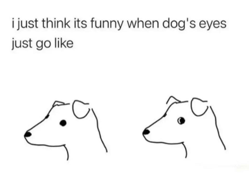 "I think it's funny when dog's eyes just go like"