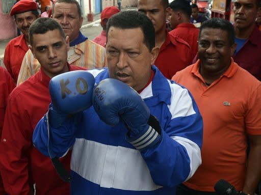 El presidente venezolano, Hugo Chávez, obtendría el 49,4% de los votos en los comicios del 7 de octubre frente al 39% del opositor Henrique Capriles Radonski, anunció este martes la reputada firma Datanálisis en su último sondeo, en el que los indecisos llegan al 11,6%. (AFP | juan barreto)