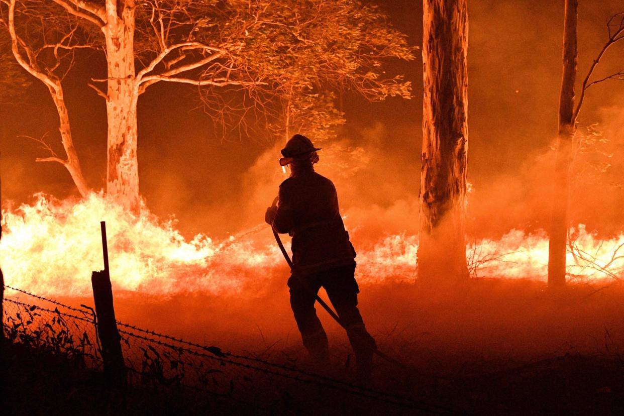 A firefighter hoses down trees and flying embers in an effort to secure nearby houses from bushfires near the town of Nowra, New South Wales: AFP/Getty