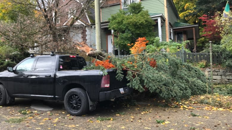 'It's all hands on deck': thousands still without power in B.C. Interior