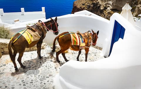 Many of the paths on Santorini are ill-suited to hooves - Credit: VENTDUSUD