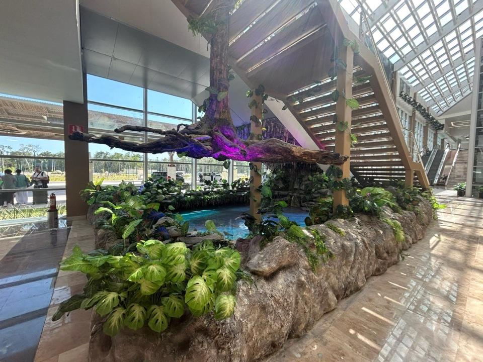 Plants inside Tulum airport