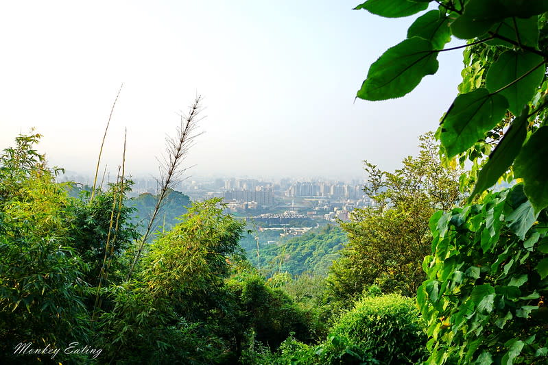 大坑9-1號登山步道