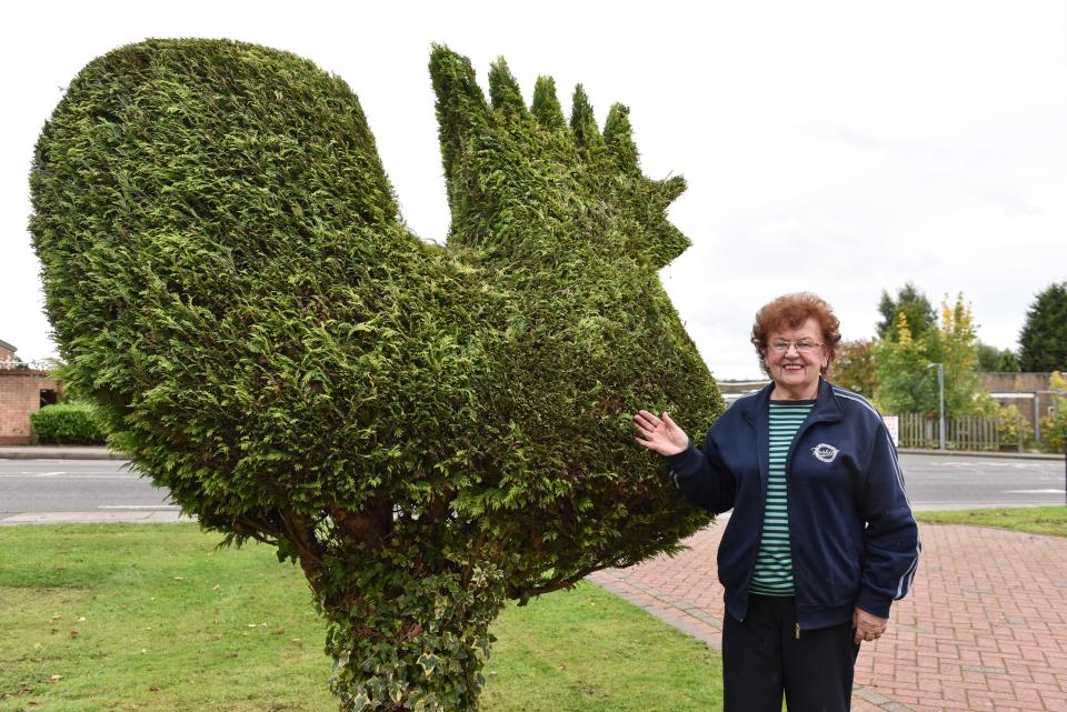 Joan Granahan shows off the huge cockerel in her garden (Picture: Caters)