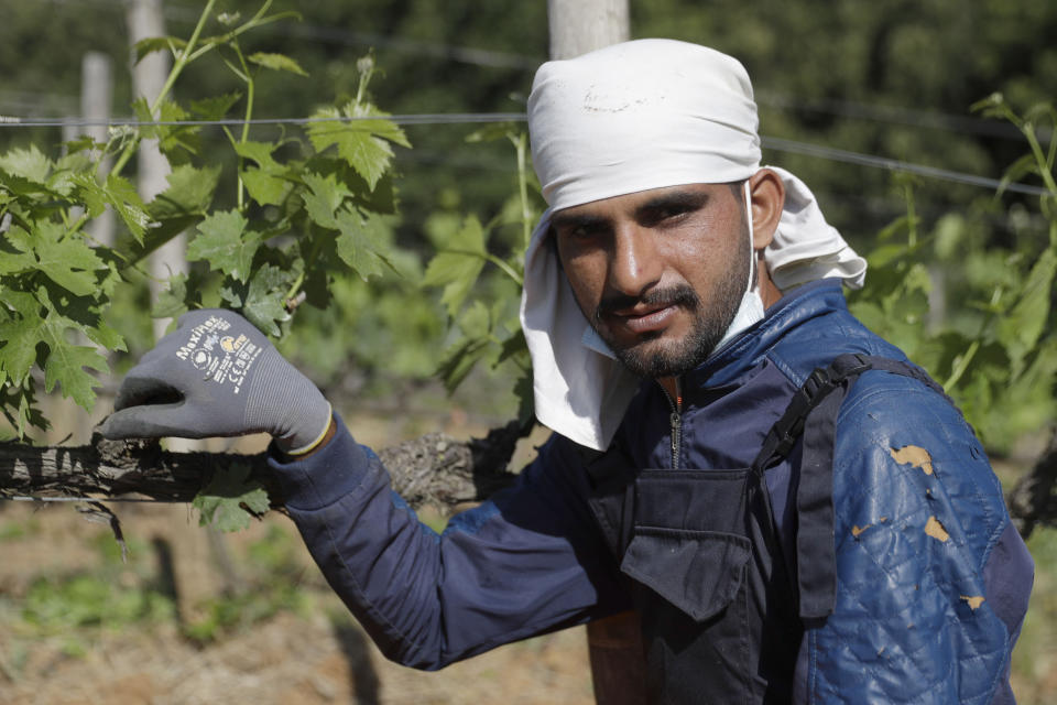 Jawad Jawad, 31 years-old, of Pakistan, poses for a picture at the Nardi vineyard in Casal del Bosco, Italy, Friday, May 28, 2021. It is a long way, and a risky one. But for this group of migrants at least it was worth the effort. They come from Ghana, Togo, Sierra Leone, Pakistan, Guinea Bissau, among other countries. They all crossed the Sahara desert, then from Libya the perilous Mediterranean Sea until they reached Italian shores, now they find hope working in the vineyards of Tuscany to make the renown Brunello wine. (AP Photo/Gregorio Borgia)