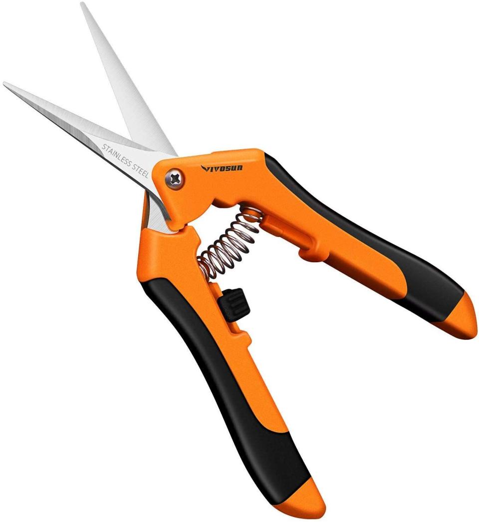 Trim off dying leaves and snip stems with this pair of plant-friendly shears. <br /><br /><strong>Promising review</strong>: "<strong>These are perfect! I've had these for over a week and have already used them nearly every day.</strong> They get right into tiny or close spots and snip stems right off, they work great for deadheading or cutting flowers including roses, petunias, pansies, dianthus pinks, vinca, coreopsis, whatever! They actually make deadheading flowers and plants fun because it's so easy! <strong>Plus they are small and light so they don't hurt or tire my hands. I can easily open and close the lock with one hand so I can quickly snip, snip, snip away! I think I may buy a second pair because they are so handy.</strong> The only thing I wish is that they had a cap because they easily fit right in my pocket but that end is super pointy, I'm surprised I haven't poked or scratched myself on them yet lol." &mdash; <a href="https://amzn.to/350QnJi" target="_blank" rel="nofollow noopener noreferrer" data-skimlinks-tracking="5929401" data-vars-affiliate="Amazon" data-vars-href="https://www.amazon.com/gp/customer-reviews/RM21PGJB8DBS2?tag=bfchristine-20&amp;ascsubtag=5929401%2C2%2C27%2Cmobile_web%2C0%2C0%2C16640143" data-vars-keywords="cleaning" data-vars-link-id="16640143" data-vars-price="" data-vars-product-id="21086128" data-vars-product-img="" data-vars-product-title="" data-vars-retailers="Amazon">Laurilee5<br /><br /></a><strong><a href="https://amzn.to/2TayIMC" target="_blank" rel="noopener noreferrer">Get it from Amazon for $6.99 (available in two colors).</a></strong>
