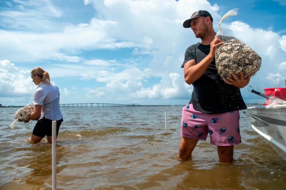 Bryce Coates, a USM Gulf Coast Research Summer Field Program student, passes along a bag of oyster shells that will be a part of a project to create a living shoreline on private property in the Back Bay of Biloxi on Tuesday, July 23, 2024.