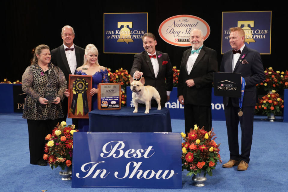THE NATIONAL DOG SHOW PRESENTED BY PURINA -- 2022 -- Pictured: (l-r) Annie Balotti, Purina Executive, Frank DePaulo; Kennel Club of Philadelphia Show Chairman; Vicki Seiler-Cushman, Best In Show Judge; 2022 National Dog Show Best In Show Winner, French Bulldog named "Winston"; Perry Payson, Handler; Wayne Ferguson, Kennel Club of Philadelphia President; Corey Benedict, Purina Executive -- (Photo by: Bill McCay/NBC via Getty Images)