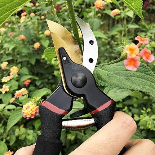 6) Titanium Bypass Pruning Shears