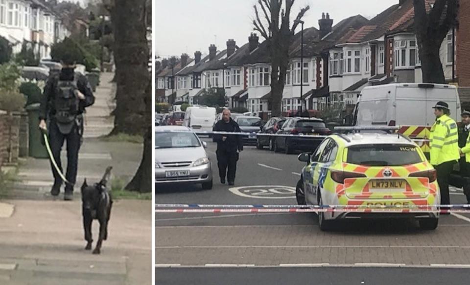 Counter-terrorism dog handler on Daneby Road, Lewisham (John Dunne / ES)