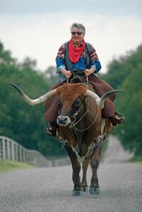 Riding Texas Longhorn