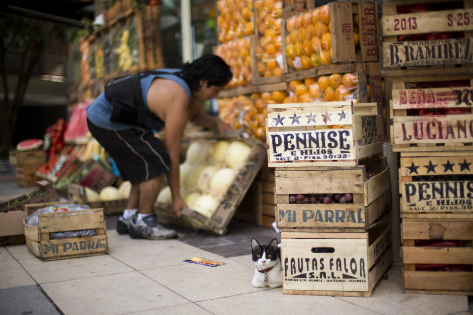 Peruvian fruit vender Ignacio Arce arranges his store while his cat sits on the sidewalk in Buenos Aires, Argentina, Monday, Jan. 27, 2014. Arce said the recent economic measures announced last Friday, Jan. 24, that allow people to buy U.S. dollars for personal savings haven't impacted in the prices of his products. (AP Photo/Victor R. Caivano)