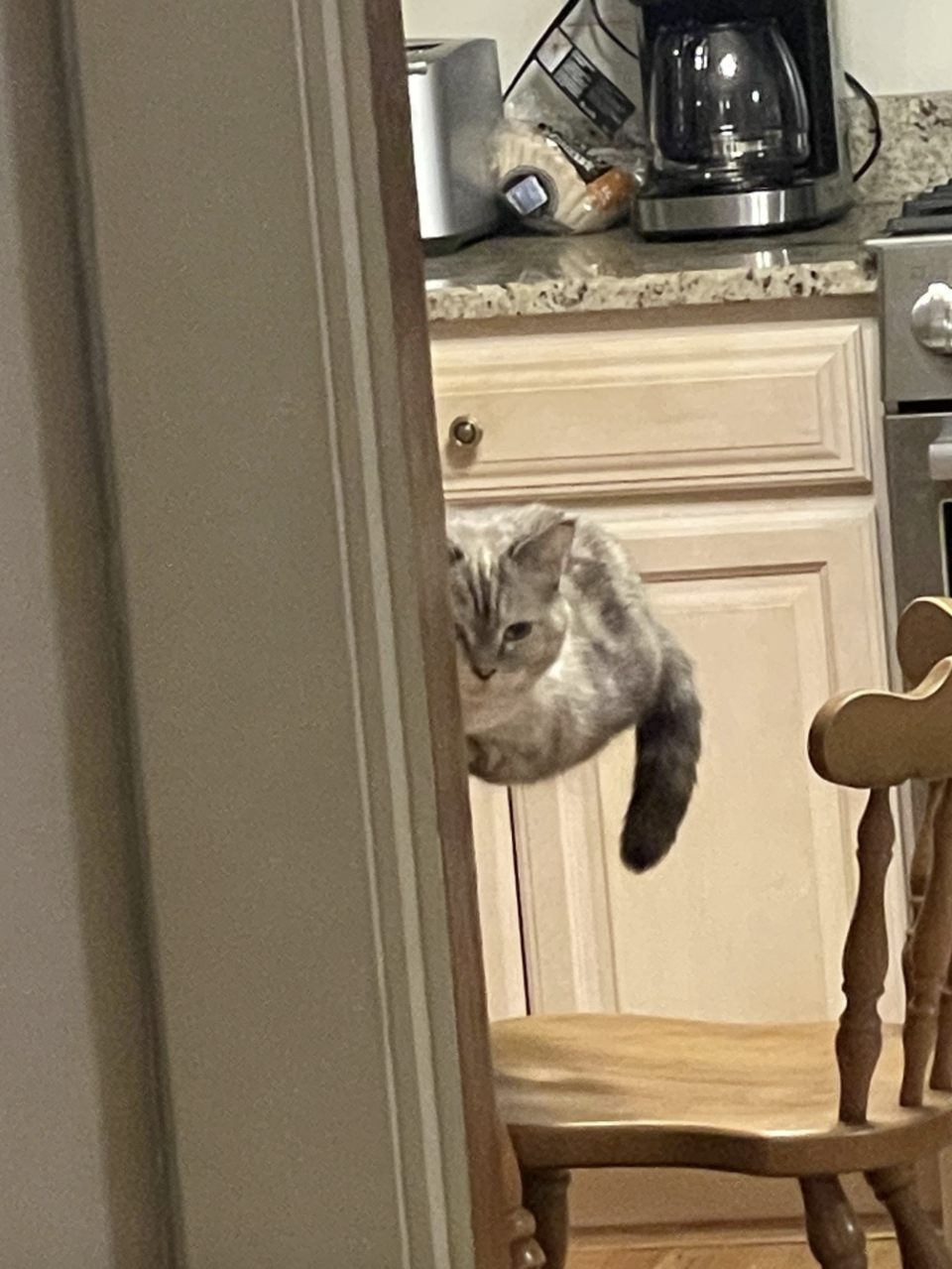 A cat is playfully peeking around a door frame into a kitchen, with its body mostly hidden and only its head and part of its tail visible