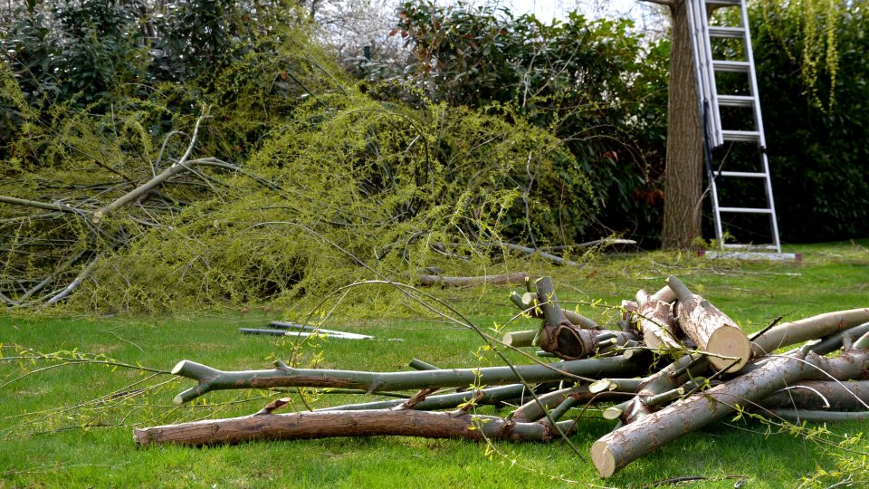 To make the most out of your investment, be sure you're not ignoring that much needed repair to your roof or those dead tress hanging around your yard.