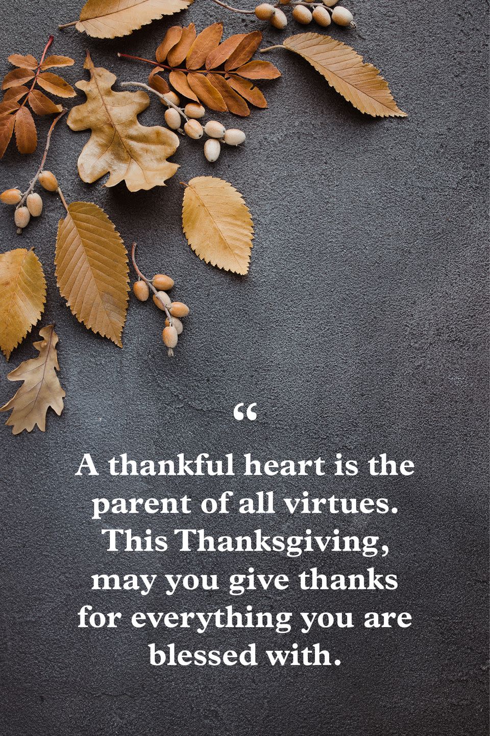 thanksgiving greetings