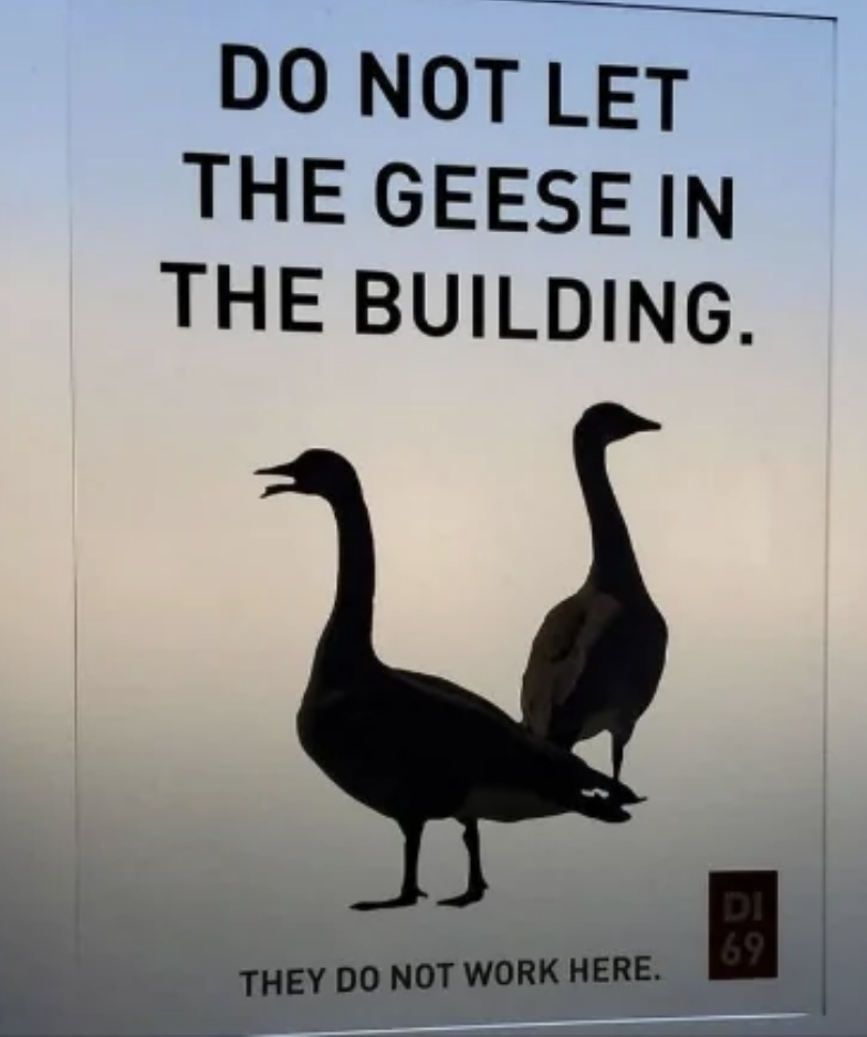 A sign with silhouettes of two geese and the text "DO NOT LET THE GEESE IN THE BUILDING. THEY DO NOT WORK HERE."