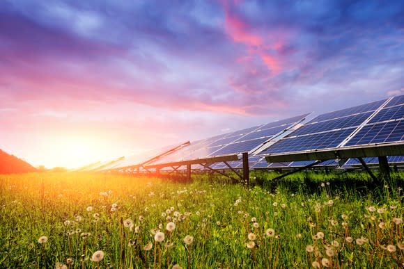 Solar panels in the field with a bright sun in the background.