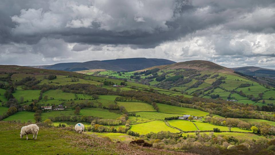 The rolling countryside of mid-south Wales – hidden away in these hills is evidence of ancient life. <a href="https://www.shutterstock.com/image-photo/rolling-agricultural-hills-mid-wales-landscape-2095266949" rel="nofollow noopener" target="_blank" data-ylk="slk:Parkerspics;elm:context_link;itc:0;sec:content-canvas" class="link ">Parkerspics</a>