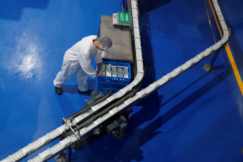 FILE PHOTO: A worker is seen during a government-organized tour of the Mengniu Dairy factory in Beijing